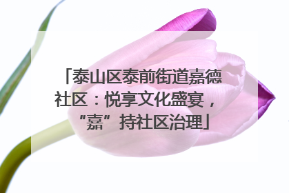 泰山区泰前街道嘉德社区：悦享文化盛宴，“嘉”持社区治理