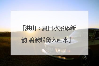洪山：夏日水景添新韵 碧波粉黛入画来