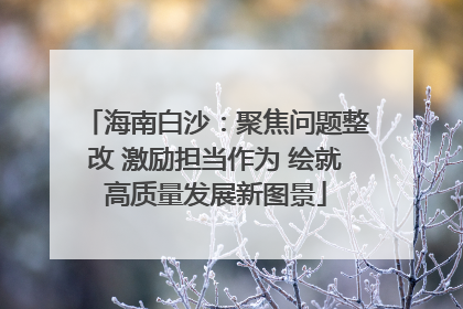 海南白沙：聚焦问题整改 激励担当作为 绘就高质量发展新图景