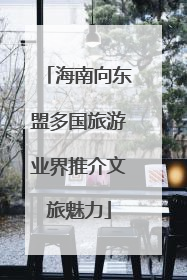海南向东盟多国旅游业界推介文旅魅力