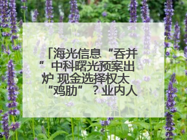 海光信息“吞并”中科曙光预案出炉 现金选择权太“鸡肋”？业内人士：企业不想大量现金流出
