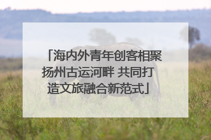 海内外青年创客相聚扬州古运河畔 共同打造文旅融合新范式