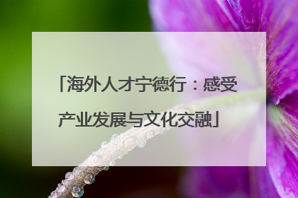 海外人才宁德行：感受产业发展与文化交融