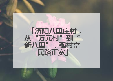 济阳八里庄村：从“万元村”到“新八里”，强村富民路正宽