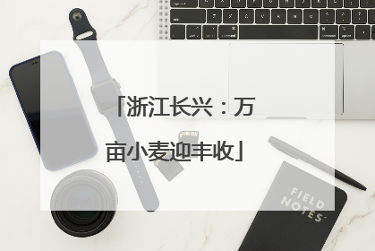 浙江长兴：万亩小麦迎丰收