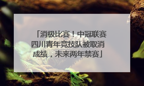 消极比赛！中冠联赛四川青年竞技队被取消成绩，未来两年禁赛