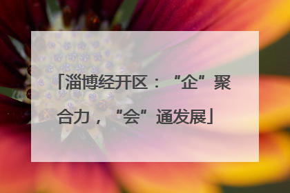 淄博经开区：“企”聚合力，“会”通发展