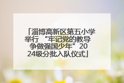 淄博高新区第五小学举行 “牢记党的教导 争做强国少年”2024级分批入队仪式