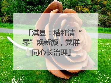 淇县：秸秆清“零”焕新颜，党群同心长治理