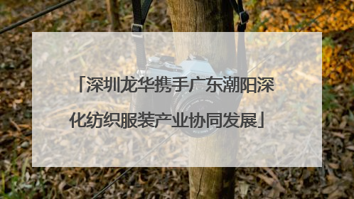 深圳龙华携手广东潮阳深化纺织服装产业协同发展