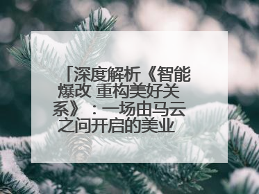 深度解析《智能爆改 重构美好关系》：一场由马云之问开启的美业 AI 转型革命