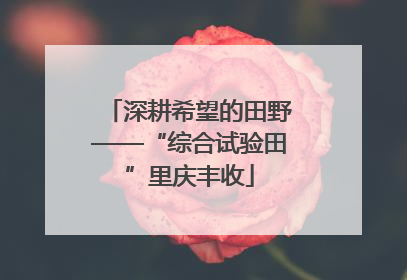 深耕希望的田野——“综合试验田”里庆丰收