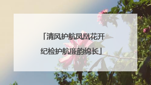 清风护航凤凰花开 纪检护航廉韵绵长