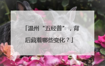 温州“五经普”，背后藏着哪些变化？