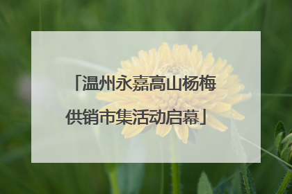 温州永嘉高山杨梅供销市集活动启幕