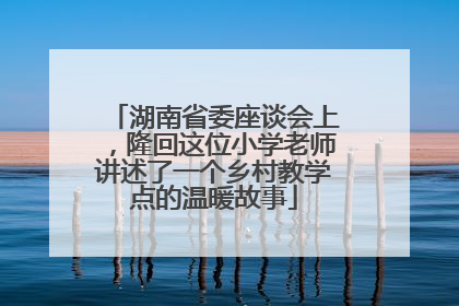 湖南省委座谈会上，隆回这位小学老师讲述了一个乡村教学点的温暖故事
