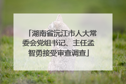 湖南省沅江市人大常委会党组书记、主任孟智勇接受审查调查