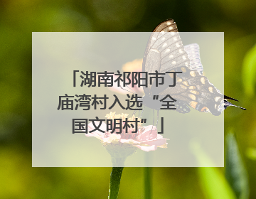 湖南祁阳市丁庙湾村入选“全国文明村”