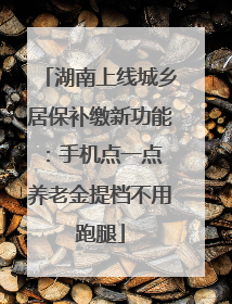 湖南上线城乡居保补缴新功能：手机点一点 养老金提档不用跑腿