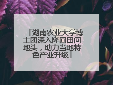 湖南农业大学博士团深入隆回田间地头，助力当地特色产业升级