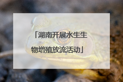 湖南开展水生生物增殖放流活动