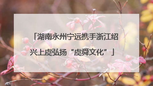 湖南永州宁远携手浙江绍兴上虞弘扬“虞舜文化”