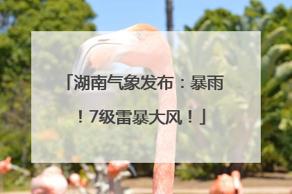 湖南气象发布：暴雨！7级雷暴大风！