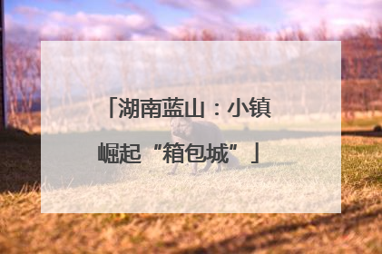 湖南蓝山：小镇崛起“箱包城”