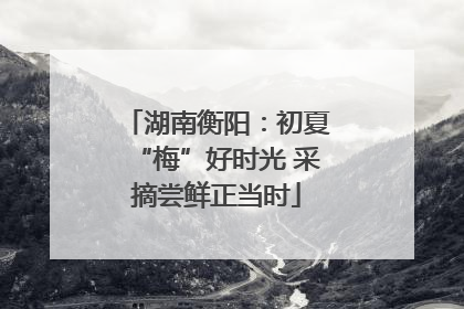 湖南衡阳：初夏“梅”好时光 采摘尝鲜正当时