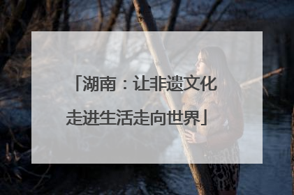 湖南：让非遗文化走进生活走向世界