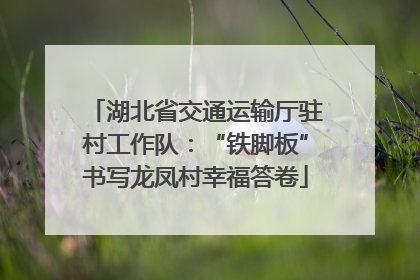 湖北省交通运输厅驻村工作队：“铁脚板”书写龙凤村幸福答卷