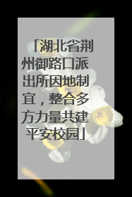 湖北省荆州御路口派出所因地制宜，整合多方力量共建平安校园