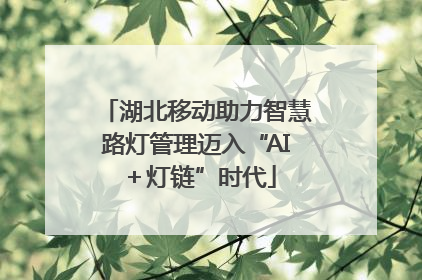 湖北移动助力智慧路灯管理迈入“AI＋灯链”时代