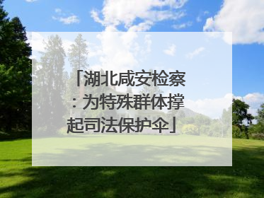 湖北咸安检察：为特殊群体撑起司法保护伞