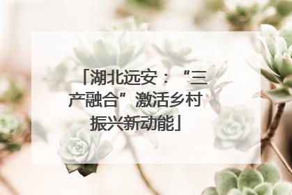 湖北远安：“三产融合”激活乡村振兴新动能