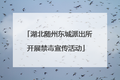 湖北随州东城派出所开展禁毒宣传活动