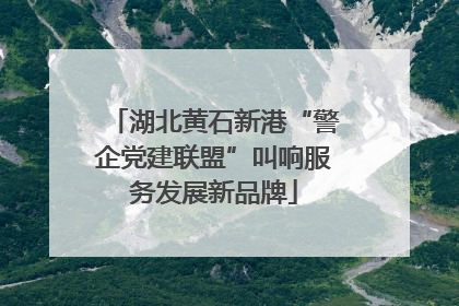 湖北黄石新港“警企党建联盟”叫响服务发展新品牌