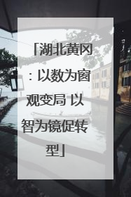 湖北黄冈：以数为窗观变局 以智为镜促转型
