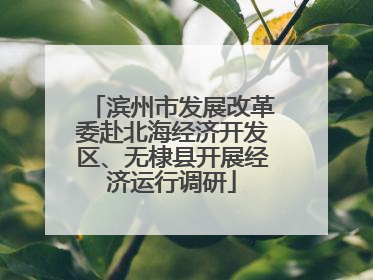 滨州市发展改革委赴北海经济开发区、无棣县开展经济运行调研