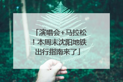 演唱会+马拉松！本周末沈阳地铁出行指南来了