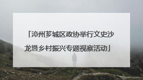 漳州芗城区政协举行文史沙龙暨乡村振兴专题视察活动