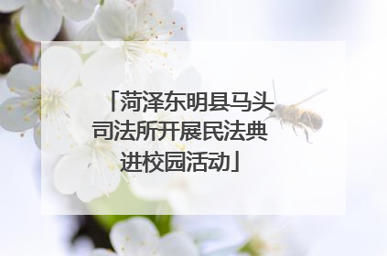 菏泽东明县马头司法所开展民法典进校园活动