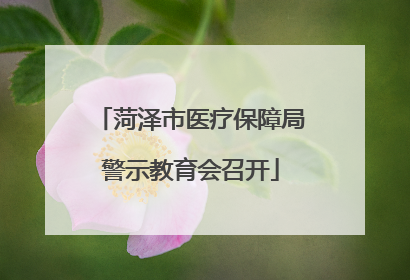 菏泽市医疗保障局警示教育会召开