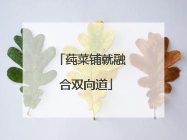 莼菜铺就融合双向道