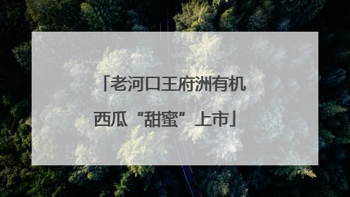 老河口王府洲有机西瓜“甜蜜”上市