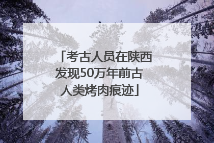 考古人员在陕西发现50万年前古人类烤肉痕迹