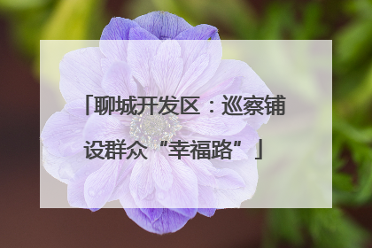 聊城开发区：巡察铺设群众“幸福路”