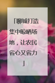 聊城打造集中晾晒场地，让农民省心又省力