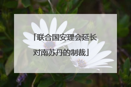 联合国安理会延长对南苏丹的制裁