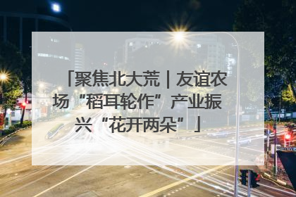聚焦北大荒｜友谊农场“稻耳轮作”产业振兴“花开两朵”